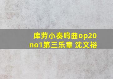 库劳小奏鸣曲op20no1第三乐章 沈文裕